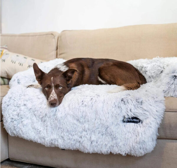 Comfortable and Practical Pet Cushion - Soft padding and bedding provide maximum comfort for your pets, with an elegant design that is easy to clean, keeping it always fresh and appealing. - Image 6